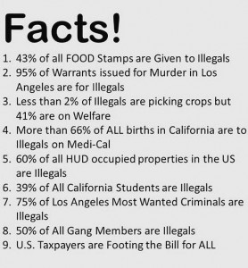 illegal statistics