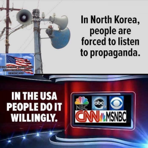 north korea media