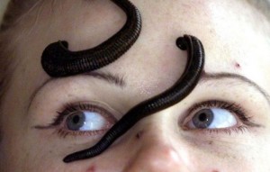leeches